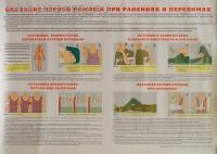 Плакат. Оказание первой помощи при ранениях и переломах (1л, 60х45см, ламинированный, Вента-2)
